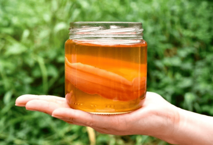 Beverage-Fermentation